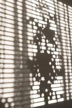 Sunlight patterns cast through window blinds onto a textured wall surface Stockfoto's