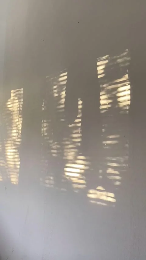 Sunlight patterns dance across wall, serene shadows and light movement Stock Footage 300776976