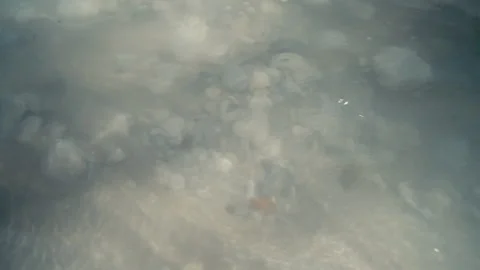 Sunlight patterns on stones under clear water surface Stock Footage 333819047