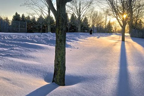 Sunlight peeked through the trees.  Shadow of the trees in the park Stock Photos