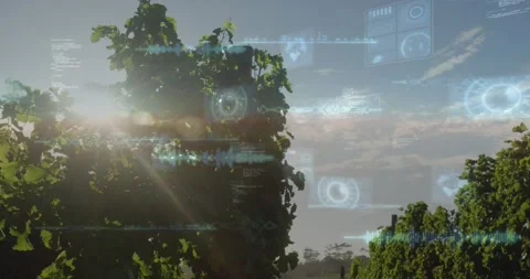 Sunlight peeking through vines causing trellis showing overlays, camera moving Stock Footage 320650677