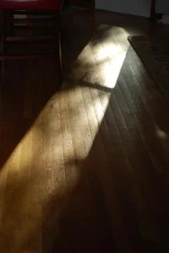 Sunlight Stock Photos