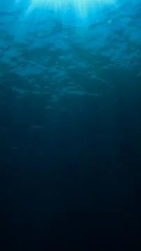 Sunlight 库存照片