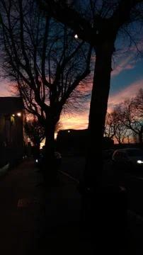 Sunlight Stock Photos