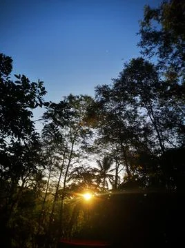 Sunlight Stock Photos