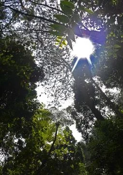 Sunlight Stock Photos