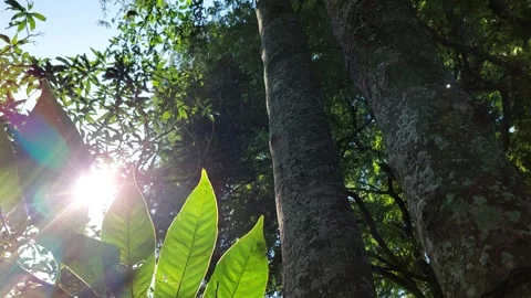 The sunlight pierced through the magma, giving off a beautiful, rhythmic glow th Stock Footage 257518943