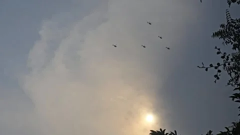 Sunlight pierces hazy skies as five helicopters soar high. Silhouetted against t Vídeos de archivo 336440811