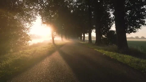 Sunlight piercing through trees on countryside road Video stock 293158137