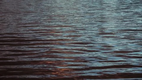 Sunlight plays on the calm sea waves. Stock Photos