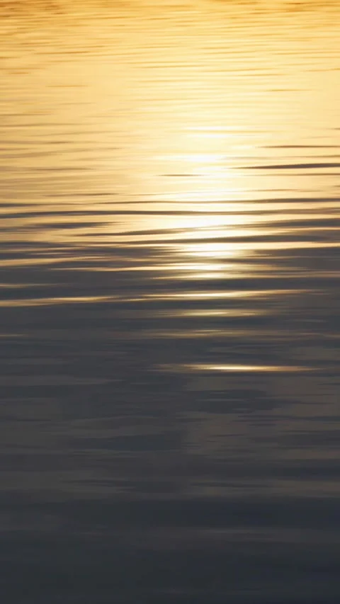 Sunlight plays on the calm waves on the seashore. The surface of the sea water. Stock Footage 272872415