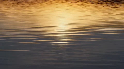 Sunlight plays on the calm waves on the seashore. Close-up of the water surface. Stock Footage 272873441