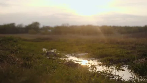 Sunlight On A Puddle Видео 169585932