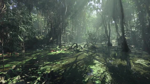Sunlight rainforest scene. Illuminated rainforest ground with greenery and logs Stock Footage 342925844