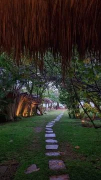 Sunlight rays in the forest and a stone path leading to the sea in Sri Lanka Stock Photos
