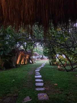 Sunlight rays in the forest and a stone path leading to the sea in Sri Lanka Stock-Fotos