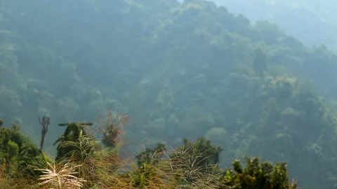 Sunlight Rays Over Forested Mountain Hills Stock Footage 329838889