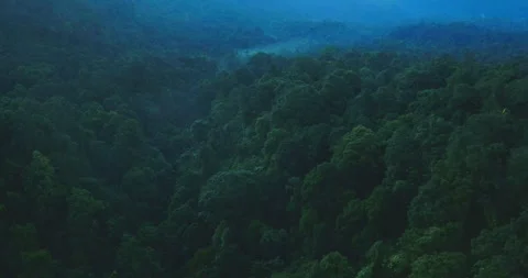 Sunlight Rays Over Tropical Mountain Rainforest Canopy Aerial  Landscape Stock Footage 331113204