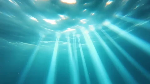 Sunlight Rays Underwater Ocean Scene Stock Footage 319076046