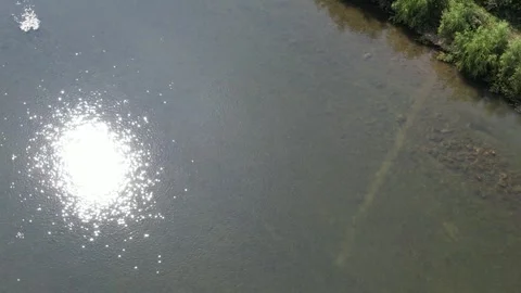 Sunlight reflected in the river Stock Footage 310215996