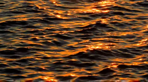 Sunlight reflected on river ripples Vídeo Stock 952095