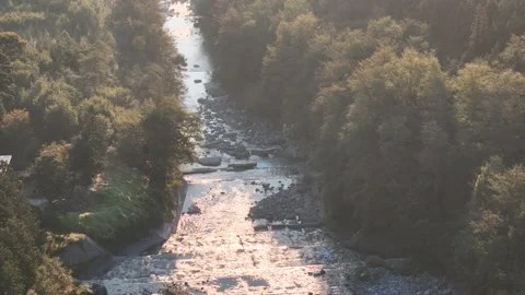 Sunlight Reflected on a Rocky River Among Tall Trees 스톡 동영상 347496633