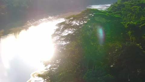 Sunlight Reflected on Tambopata River Beside Amazon Rainforest Canopy in Peru, Stock Footage 314321024