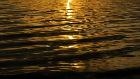 Sunlight is reflected in the waves of the lake, sea, ocean. Stock Footage 317252521