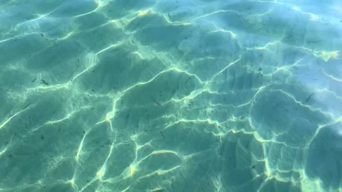 Sunlight Reflecting on Clear Shallow Sea Water with Rippling Patterns Stock Footage 310233460