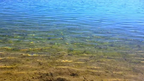 Sunlight reflecting on clear shallow water with a sandy bottom near the shore Stock Footage 337654089