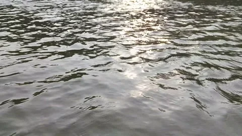 Sunlight reflecting on flowing river water surface creates gentle sparkling Vidéo 346765856