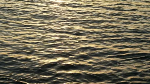 Sunlight Reflecting on Gentle Ocean Surface Vídeo Stock 340680033