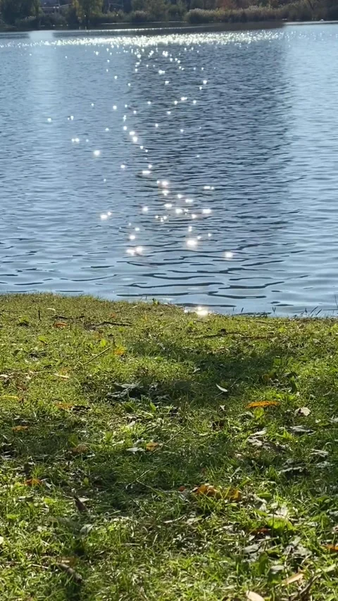 Sunlight Reflecting Off A Lake in Tranquil Water, Standing View Stock Footage 256574796