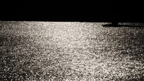 Sunlight reflecting on rippling water Stock Footage 320005329