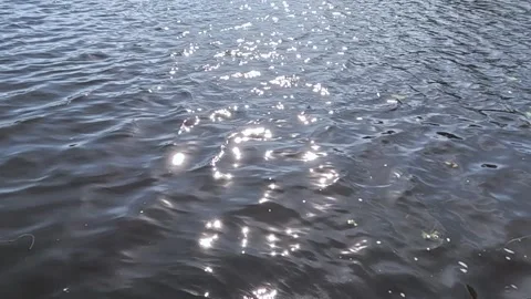 Sunlight reflecting on rippling water surface outdoors Stock Footage 317204938