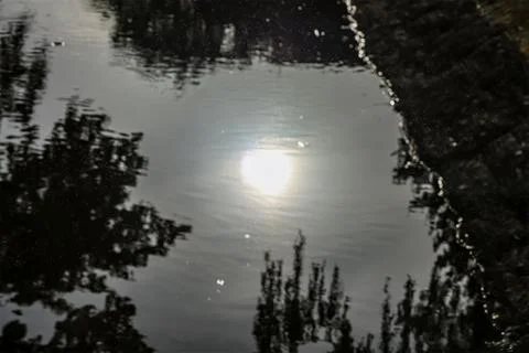 Sunlight reflecting on rippling water with tree silhouettes and textured edge Stock Photos