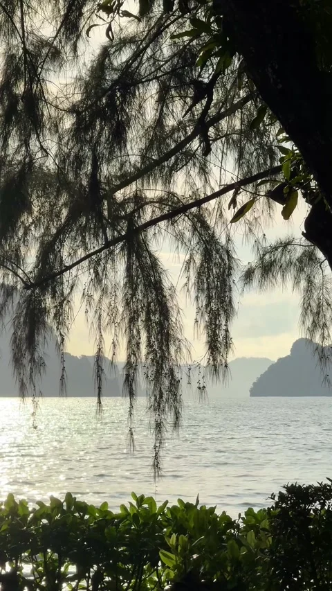 Sunlight reflecting on the sea and the limestone mountains of Krabi, Thailand. Vidéo 340047188