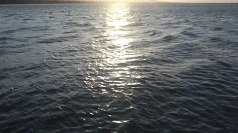 Sunlight Reflecting on Sparkling Lake Surface Stock Footage 289307372