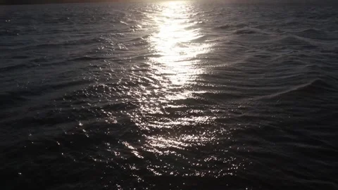 Sunlight Reflecting on Sparkling Lake Surface Stock Footage 289307852