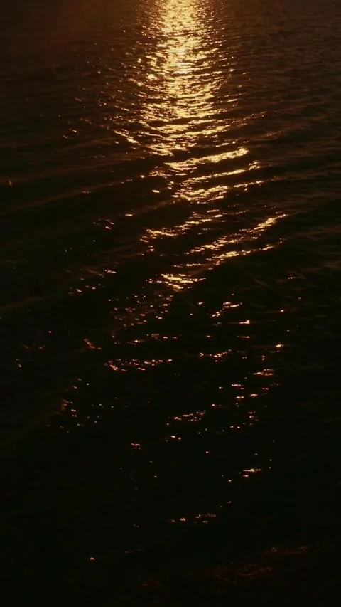 Sunlight Reflecting on Sparkling Lake Surface Stock Footage 296933434