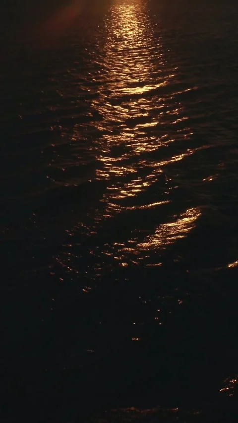 Sunlight Reflecting on Sparkling Lake Surface Stock Footage 296934358