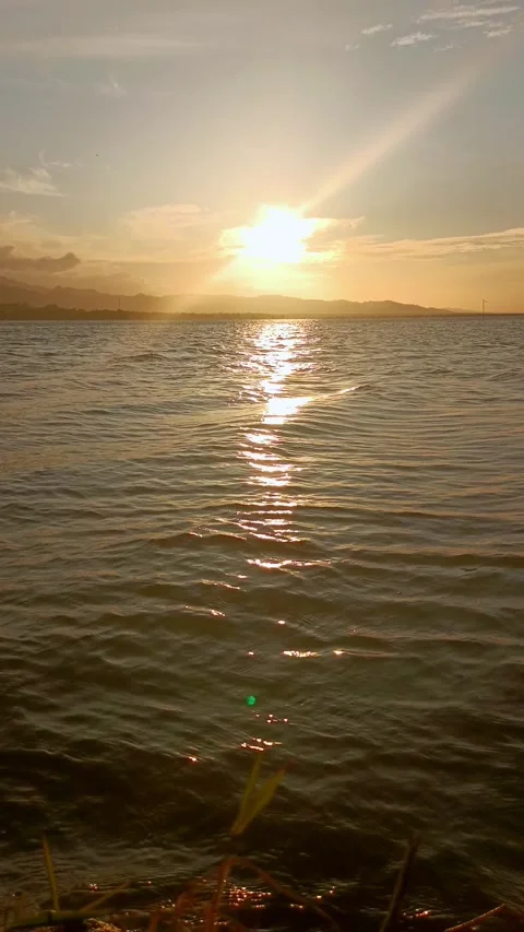 Sunlight Reflecting on Sparkling Lake Surface Stock Footage 298958709