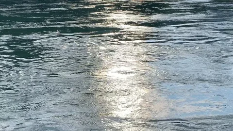 Sunlight reflecting off a stream Stock Footage 113861660