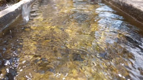 Sunlight Reflecting Stream of Water Video stock 316484782