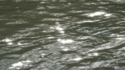 Sunlight reflecting on the surface of a river Stock Footage 336830283