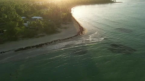 Sunlight Reflecting Through Palm Leaves-09 Stock-Footage 321950785