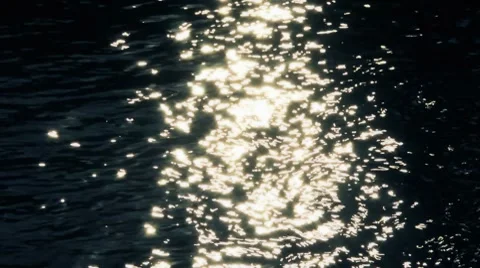 Sunlight Reflecting on Water Stock Footage 8506544