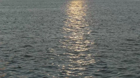 Sunlight Reflecting on Water 스톡 동영상 26360708