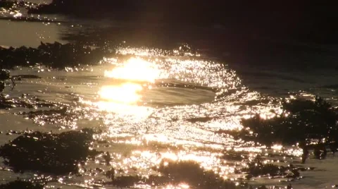Sunlight Reflecting On The Water Stock Footage 55342554