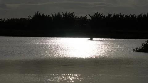Sunlight reflecting on water surface Stock Footage 320005340